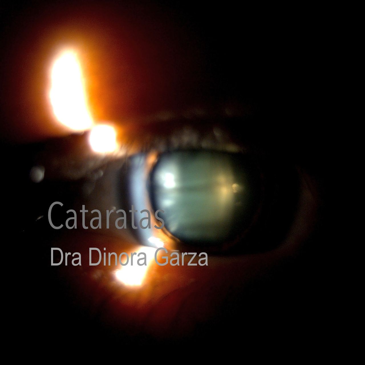 Dinora Garza Leal-40