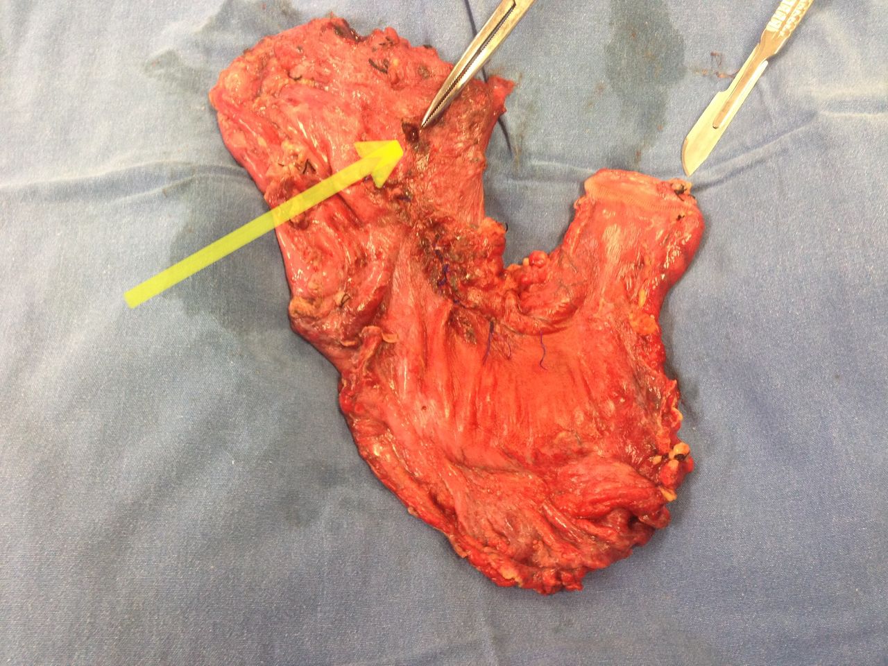 Mateo Ponciano Guerrero-28