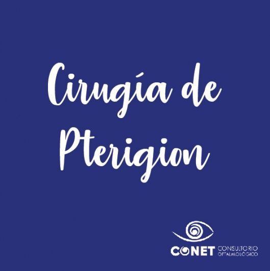 Guillermo Daniel Cruz Martínez-0