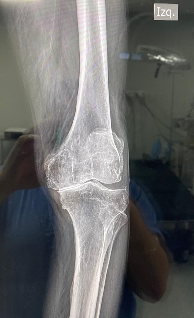 Yuri Mario Quiroz Delgadillo-2