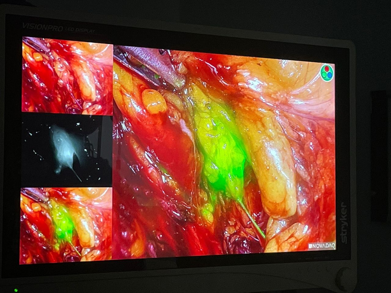 Yamile Torres Jasso-3