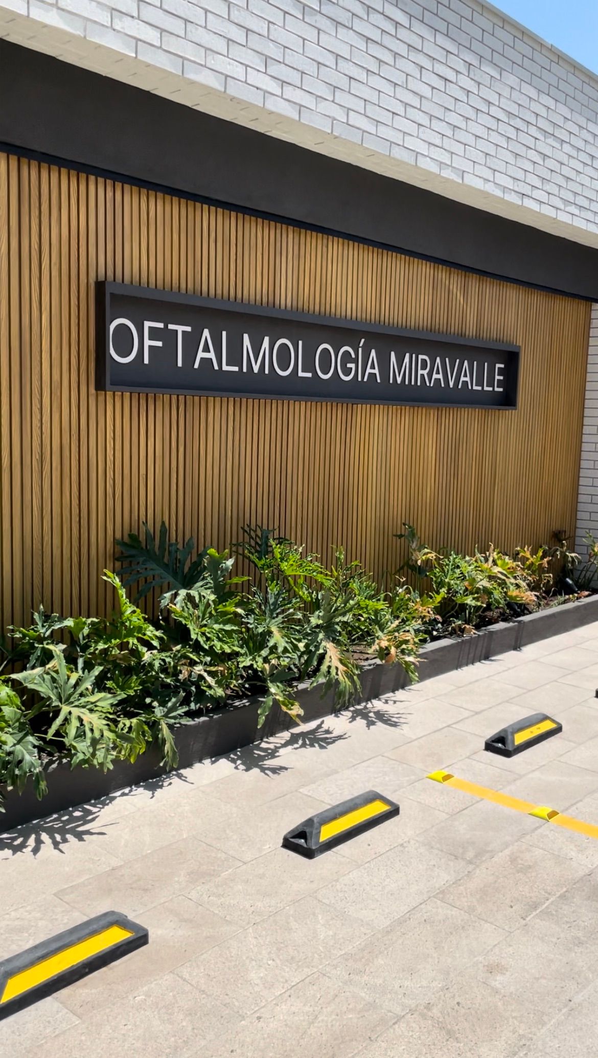 Agustín Del Valle-0