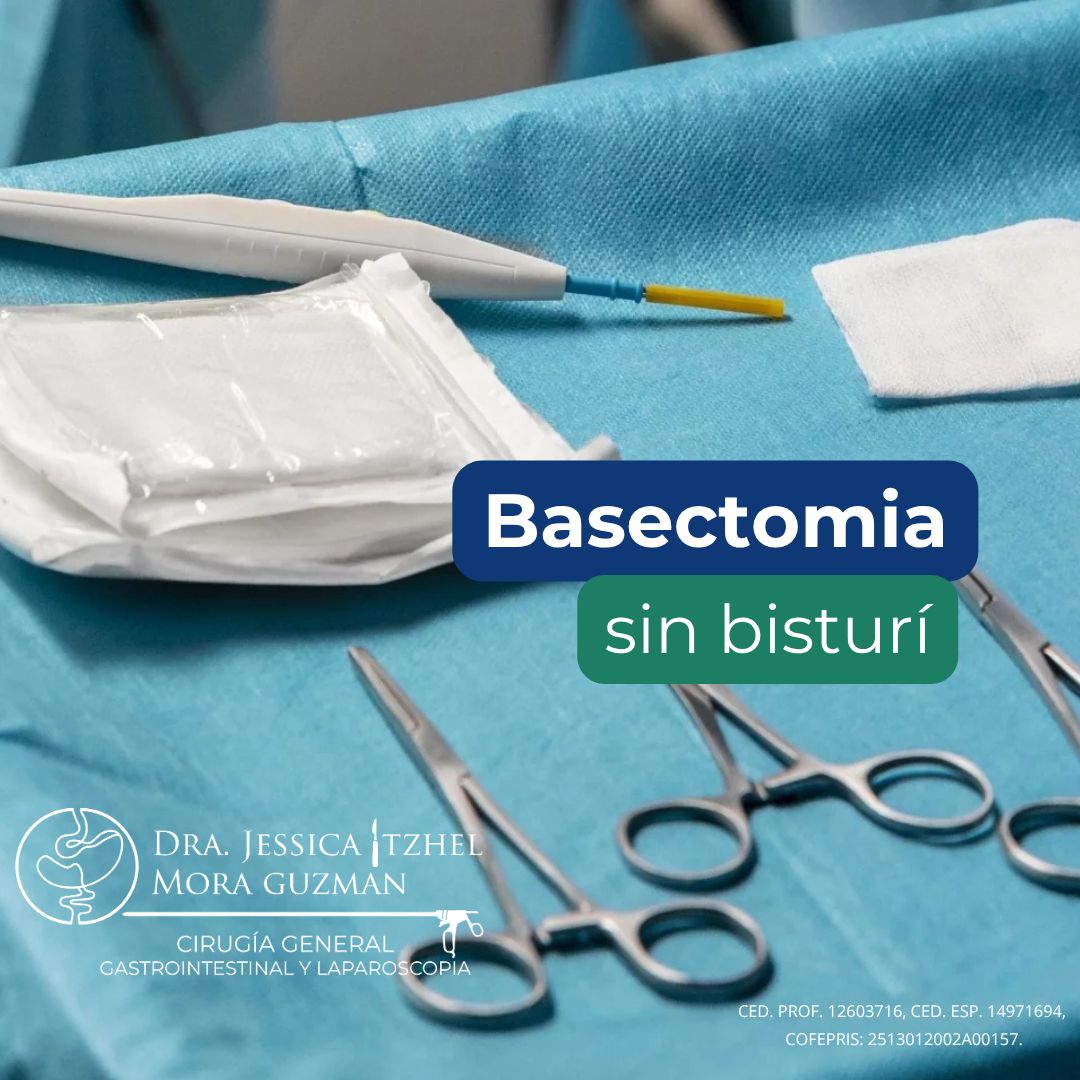 Jessica Itzhel Mora Guzman-7