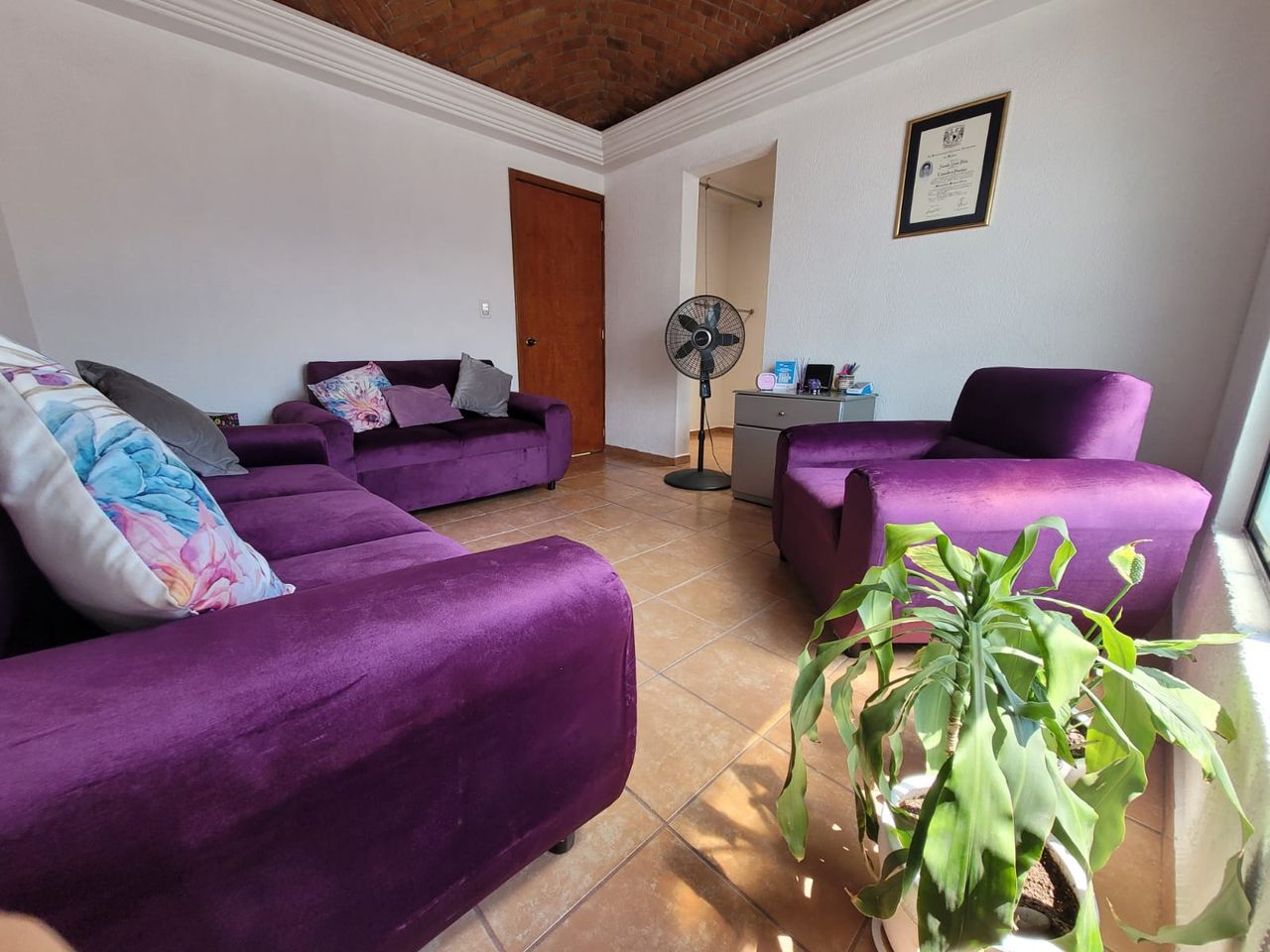 Amanda Zavala Pérez-1