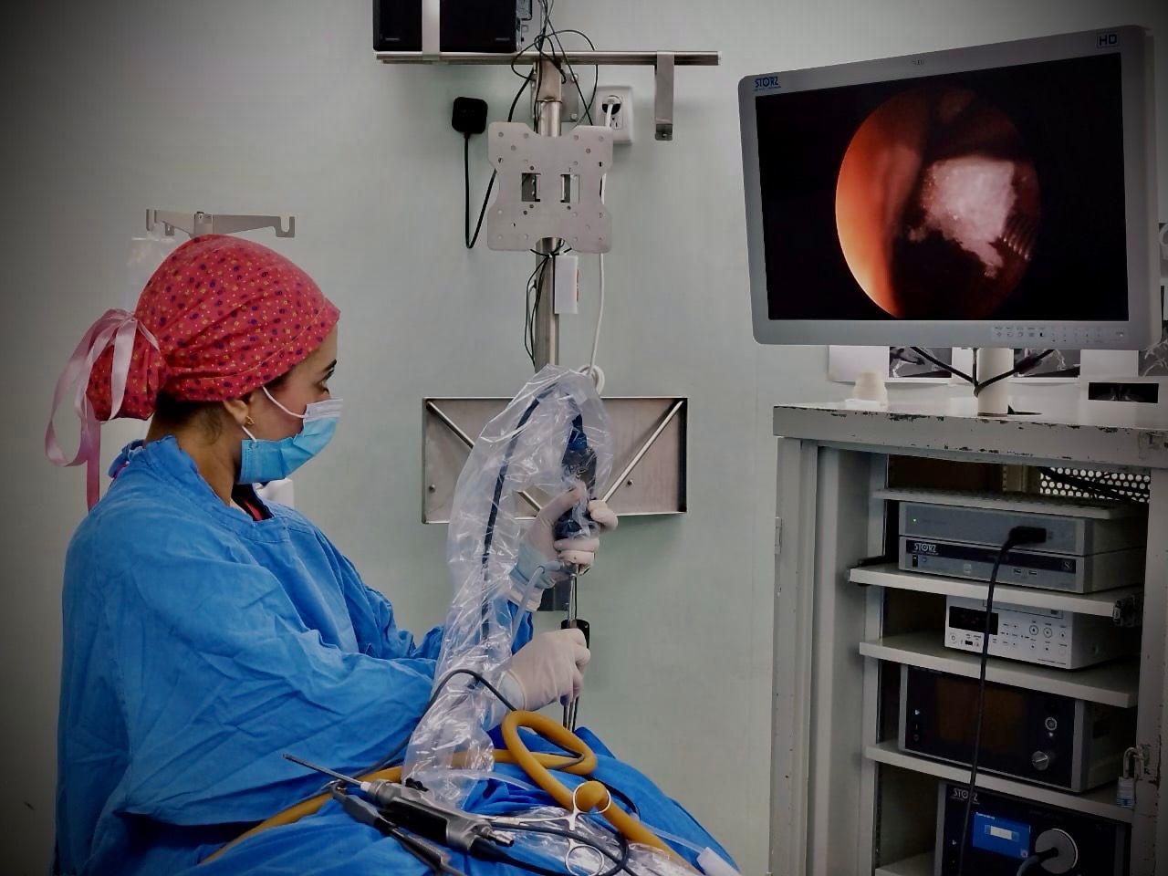 Fernanda Vergara Tellez-6