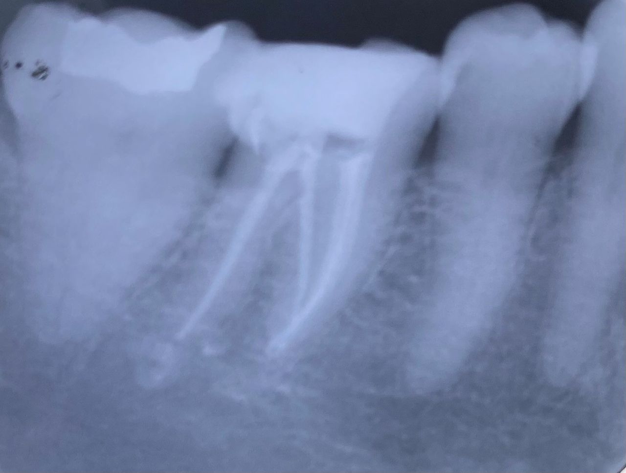 Norma Alicia Cienfuegos Reyes-2