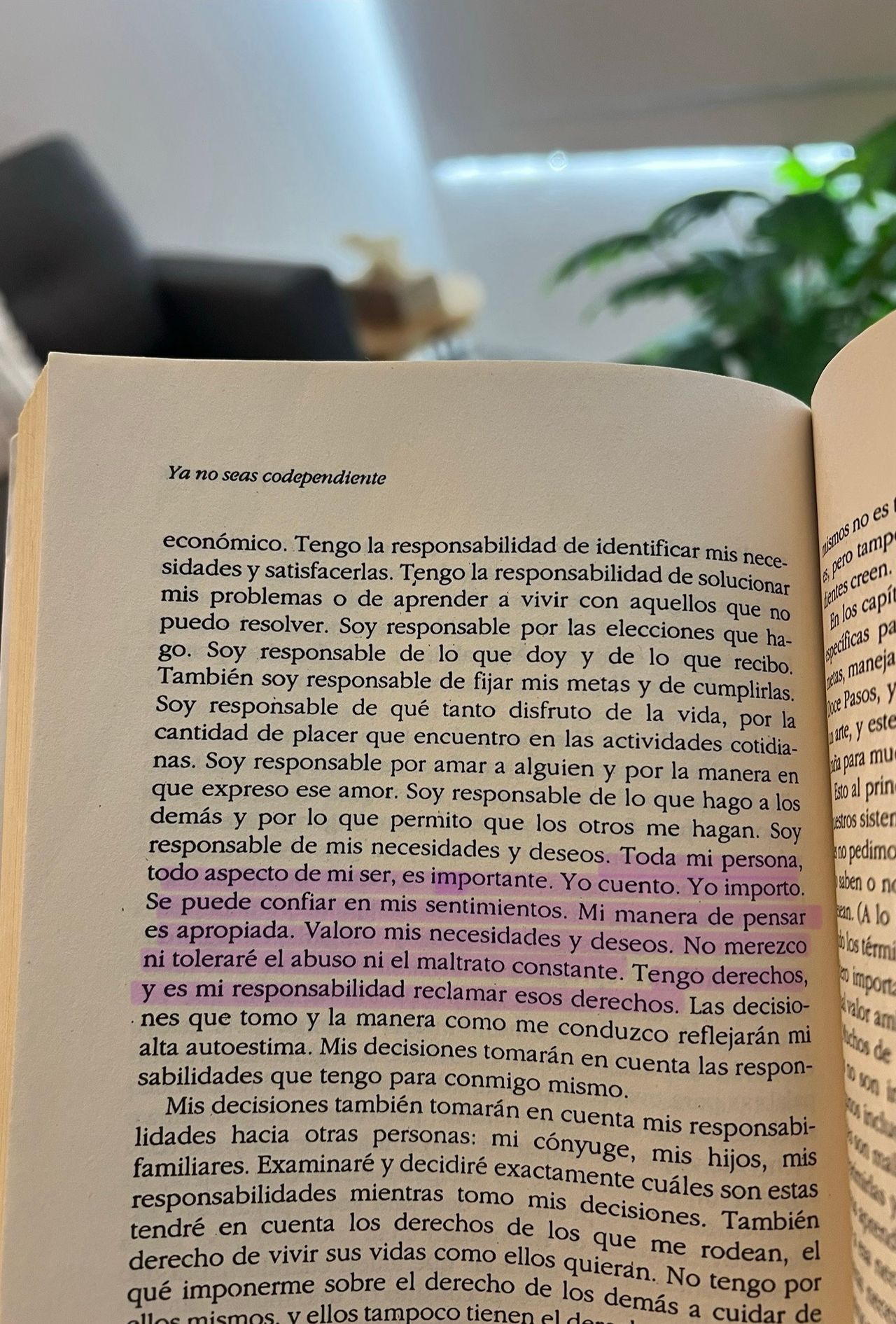 Dulce Jiménez Ángel-2