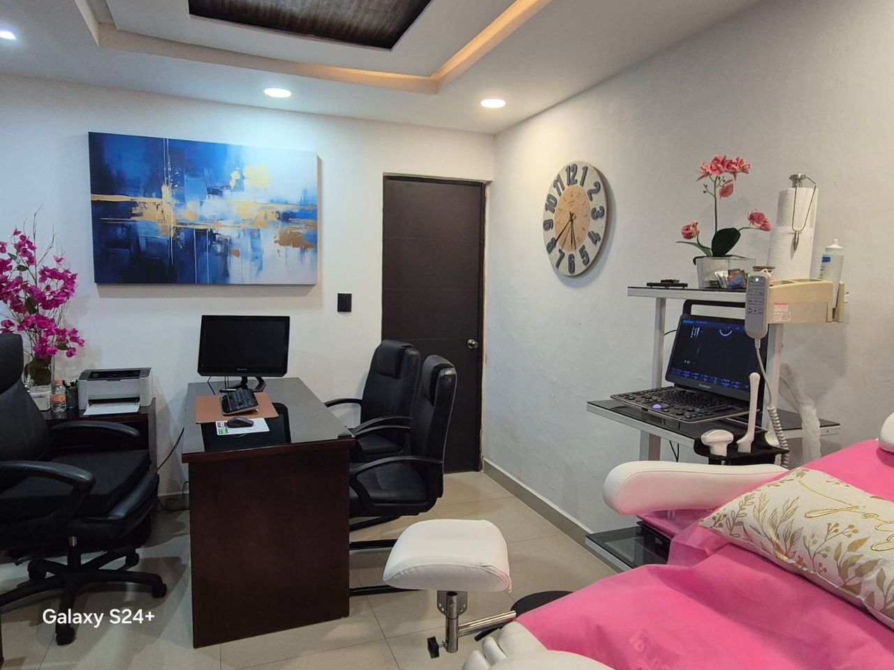 Alejandra Ruiz Cancino-0