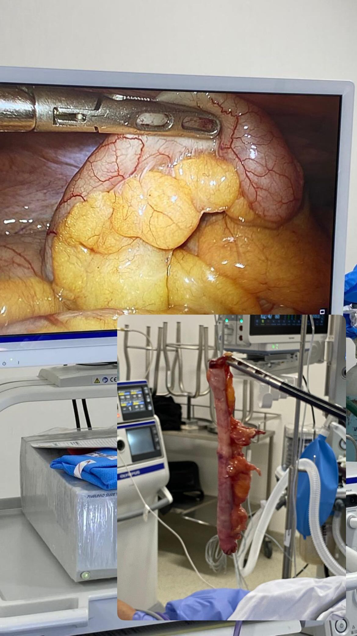 Arturo  Del Campo García -3