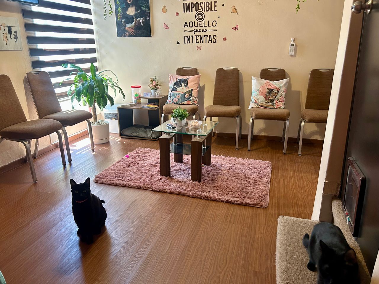 Jhoana Mendoza Larios-6