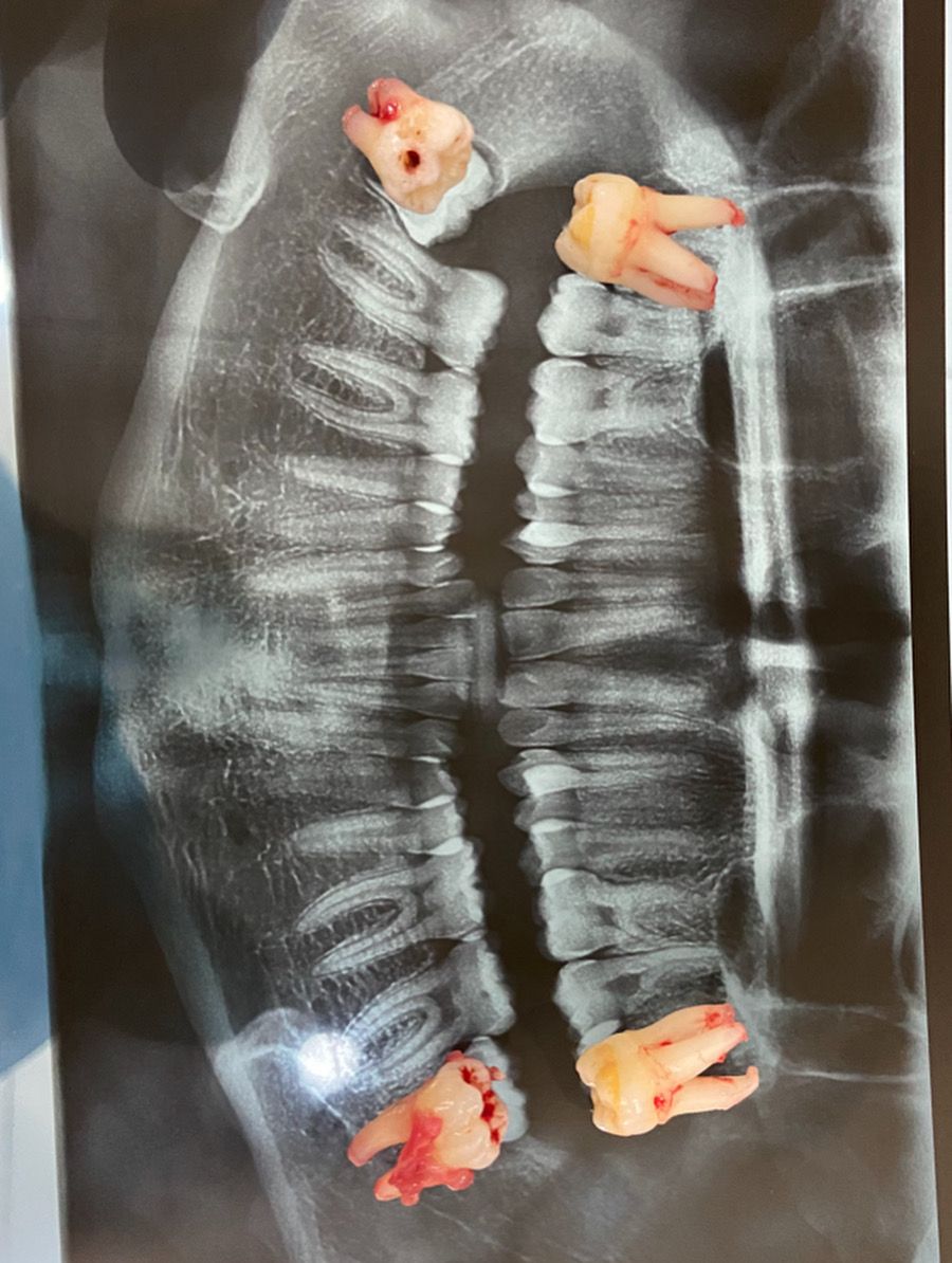 Rigoberto Garrido Dionisio-4