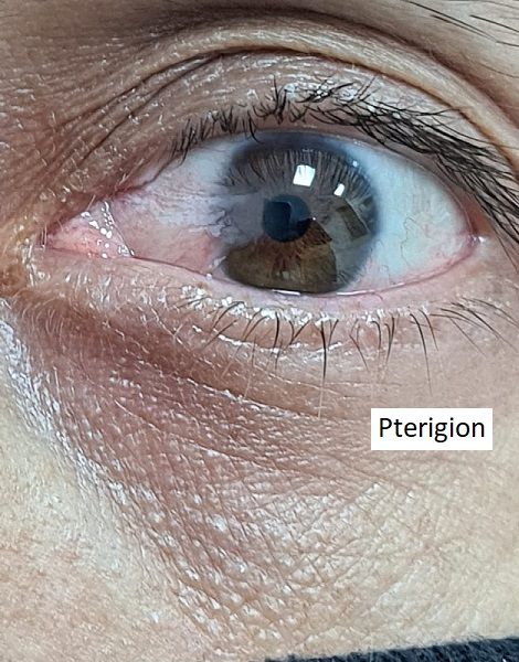 Rita Alicia Navarro Montes-4