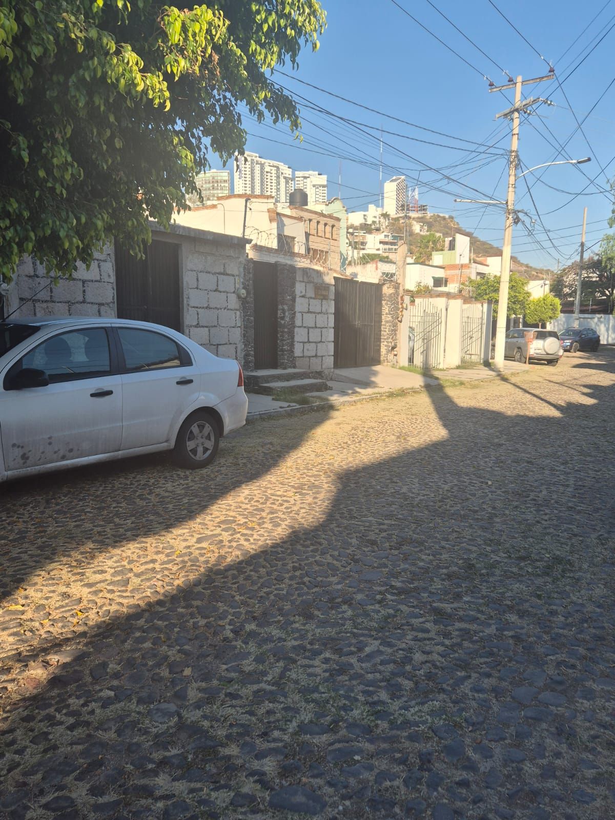 Norma Piña Patiño-2