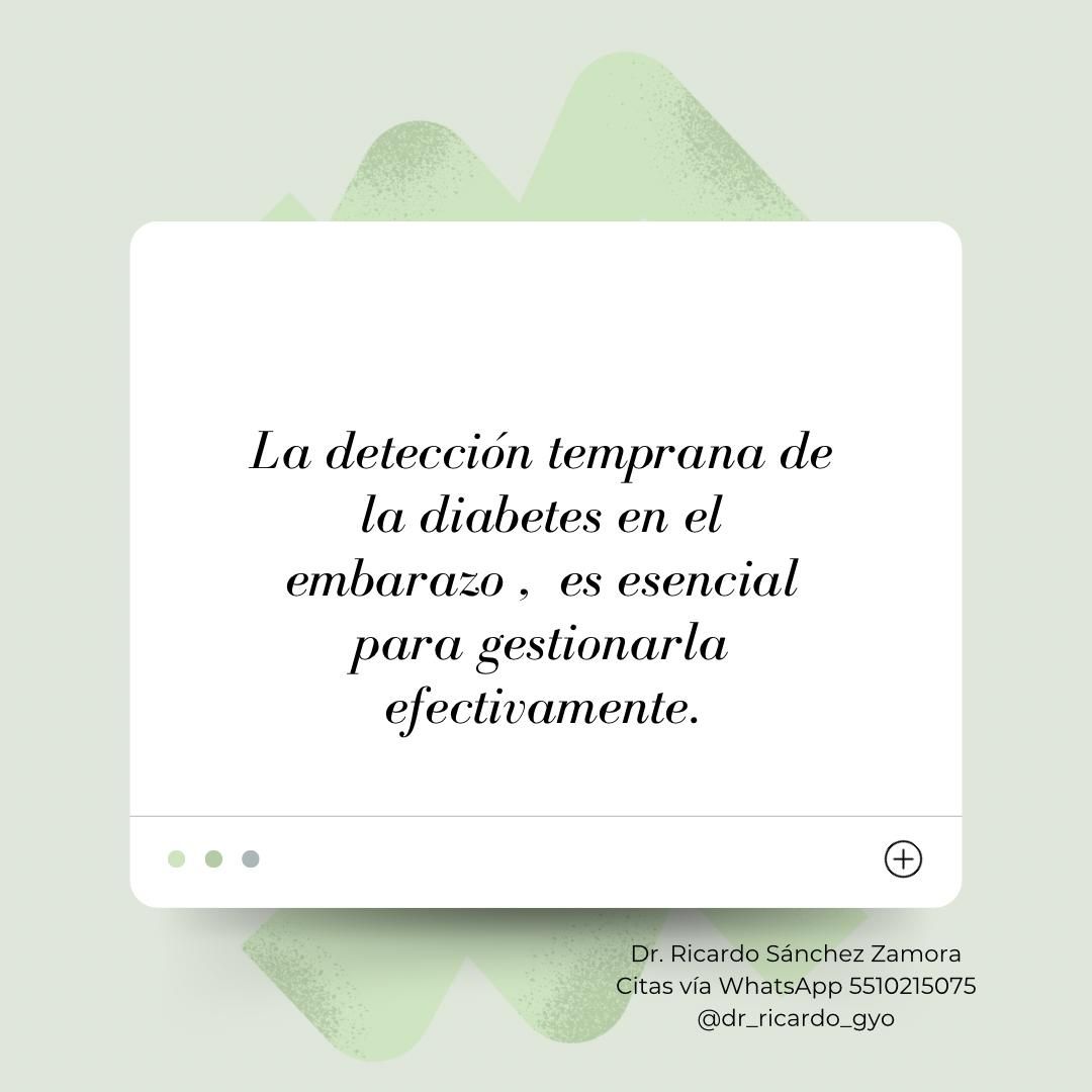 Ricardo Sanchez Zamora-22