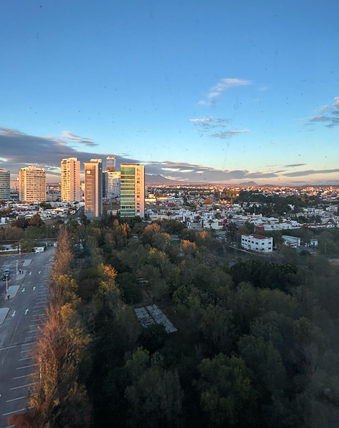 Carlos Damián Palafox Vidal-11