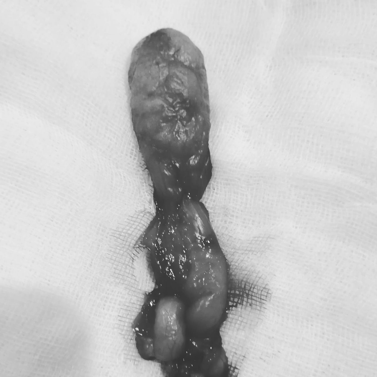 Iván Nájera Ayuso-11