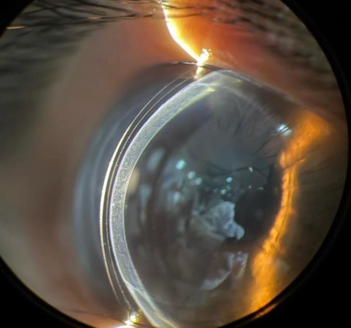 Omar Flores Cárdenas-4