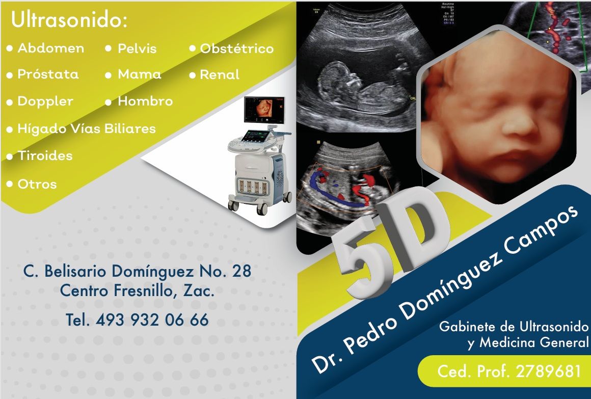 Pedro Domínguez Campos-0