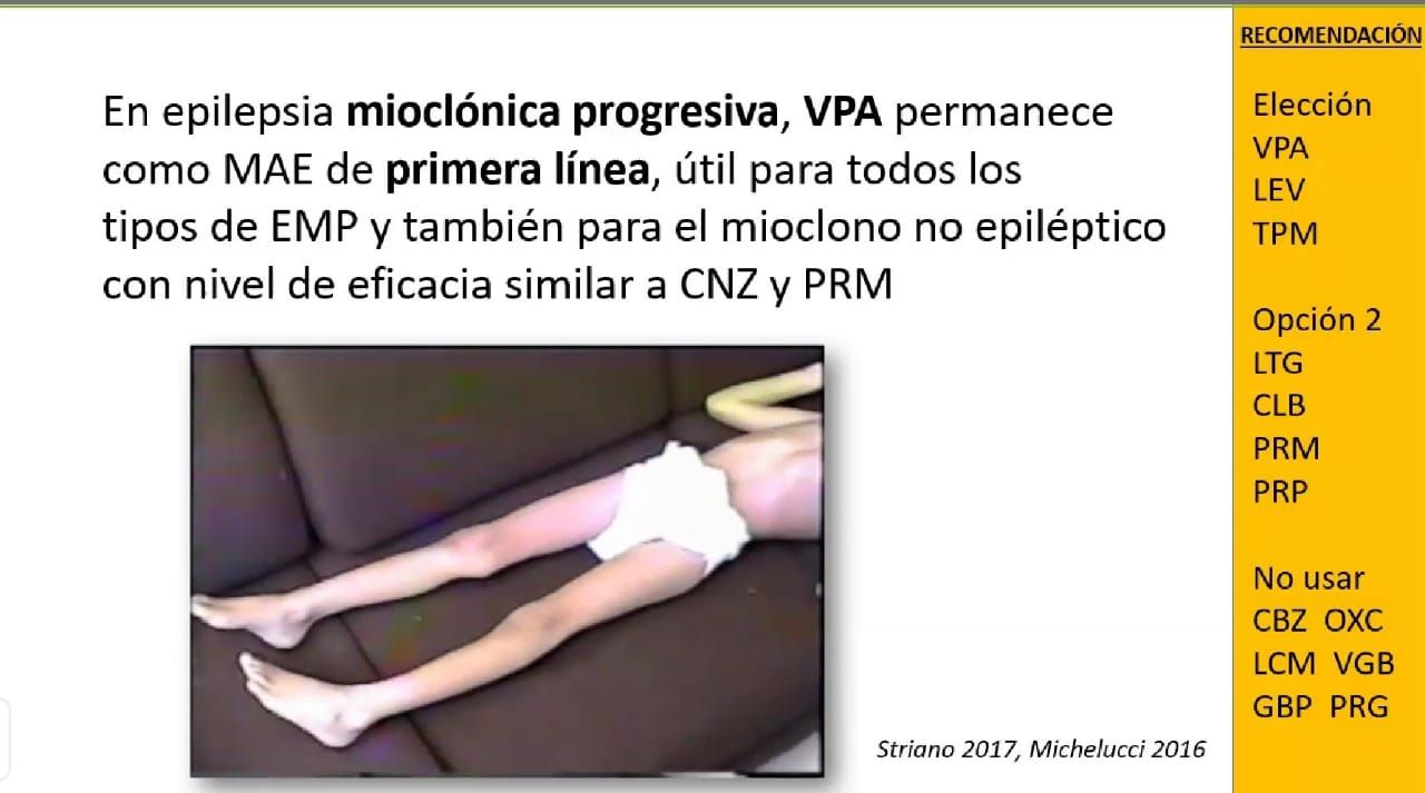 Dora Camacho Vázquez-1