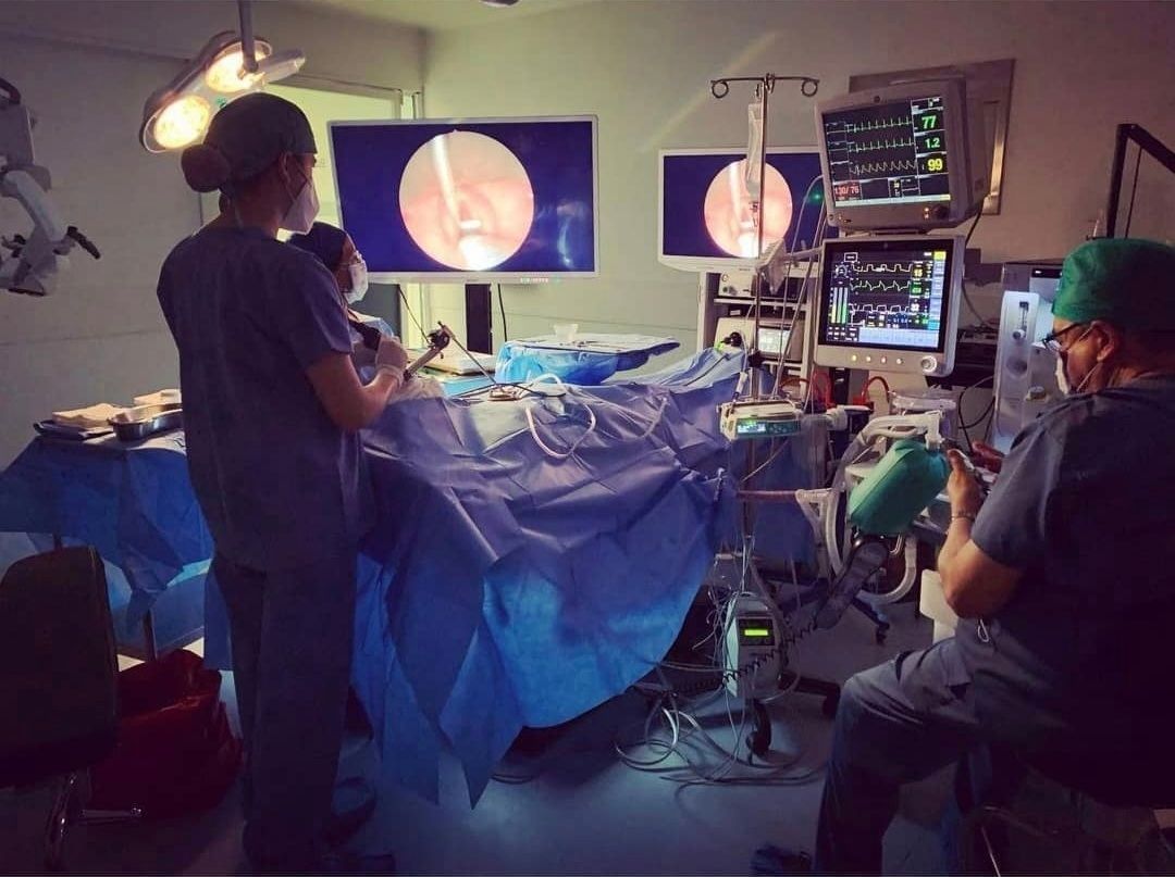 Mariana Sterling Pamplona-7