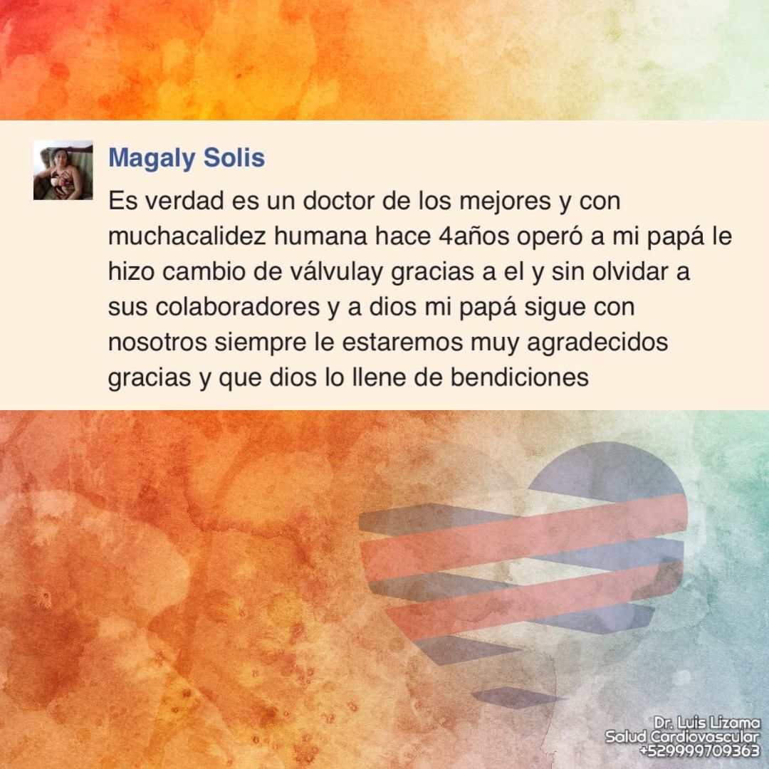 Luis Daniel Lizama Rodrí­guez-31