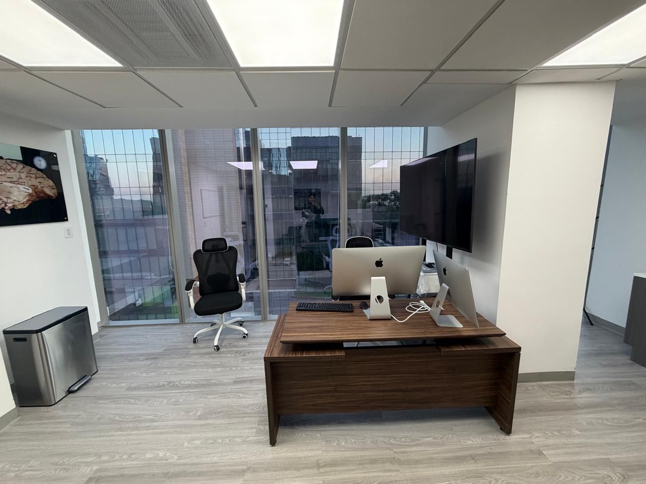 Alan Ferrufino Mejia-41