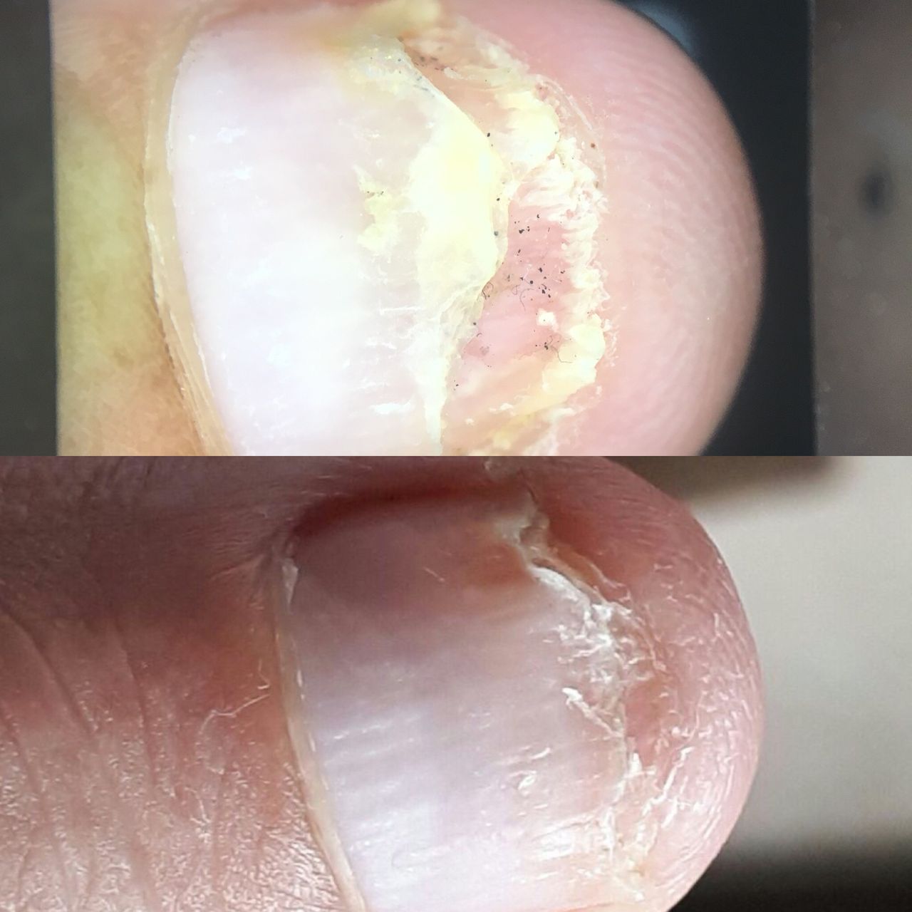 Pamela Orozco Olguín-6