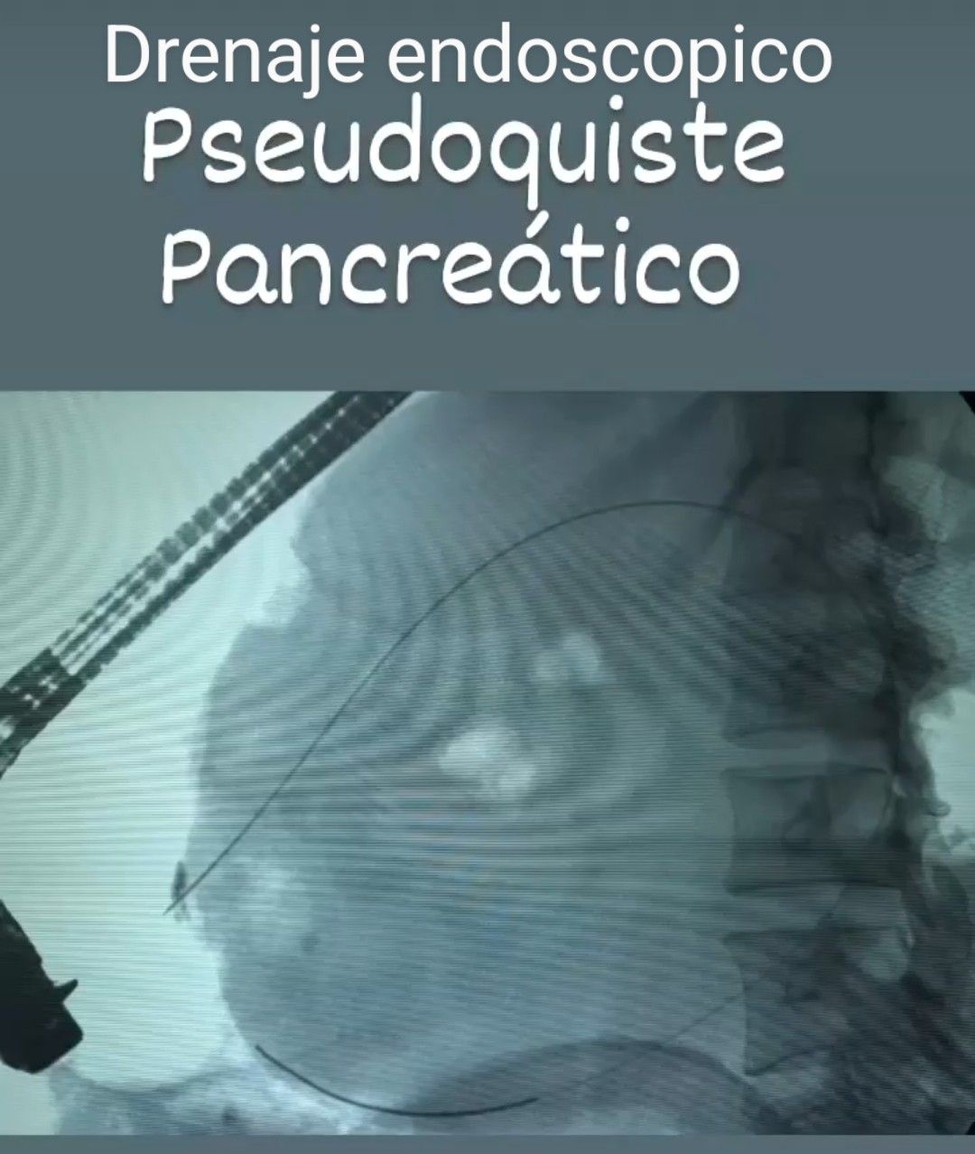 Manuel Alfonso Peña Vergara-12