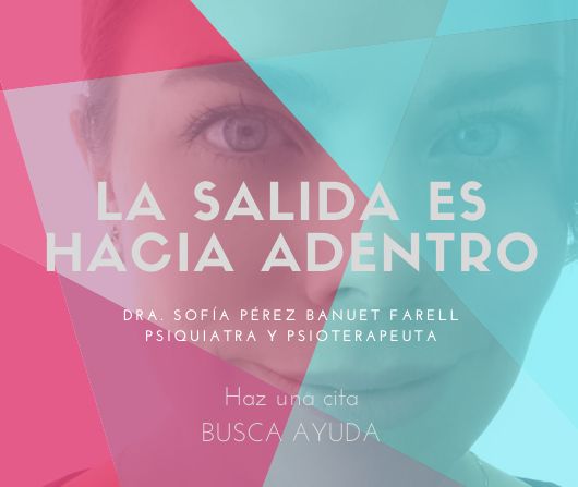 Sofía Pérez Banuet Farell-4