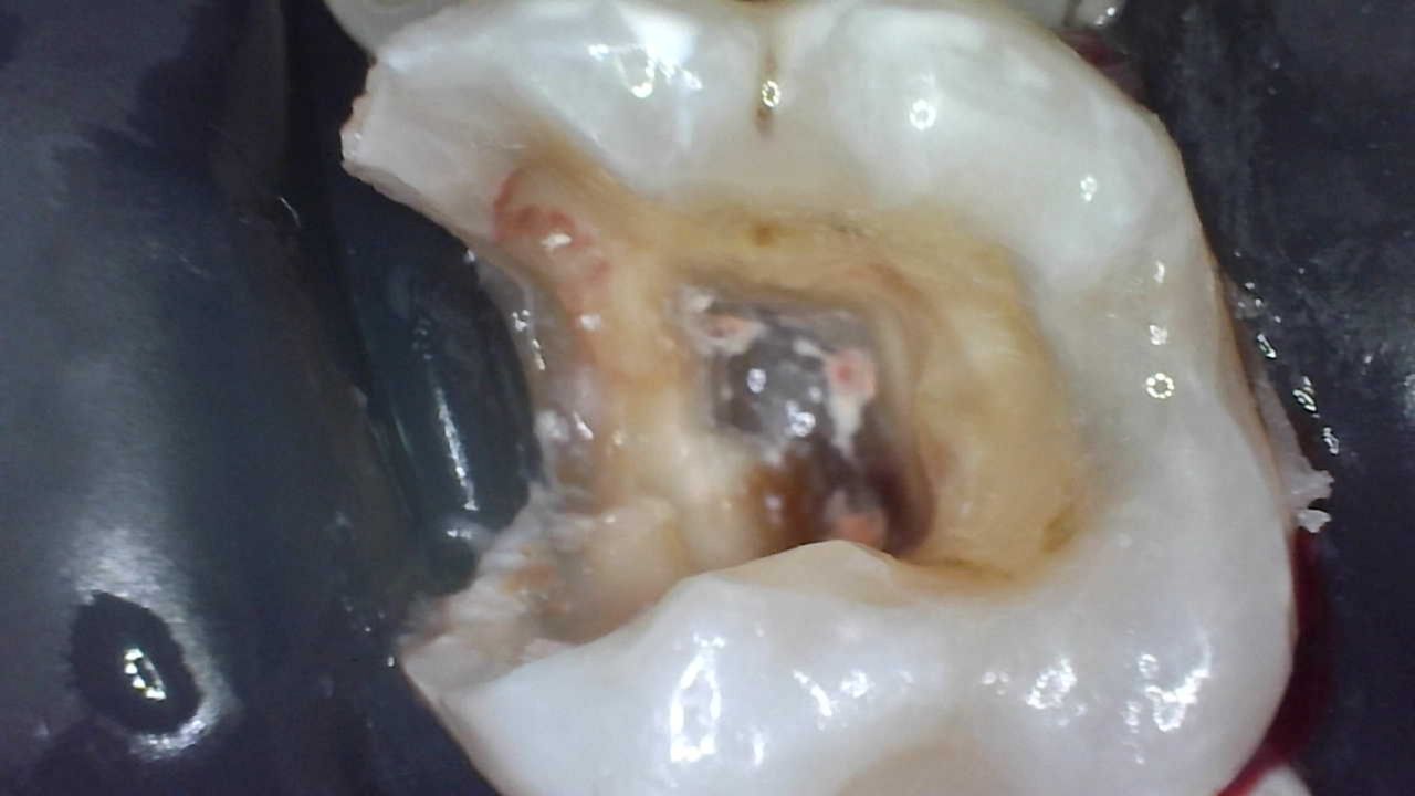 Yaneth Gutiérrez Sánchez-20