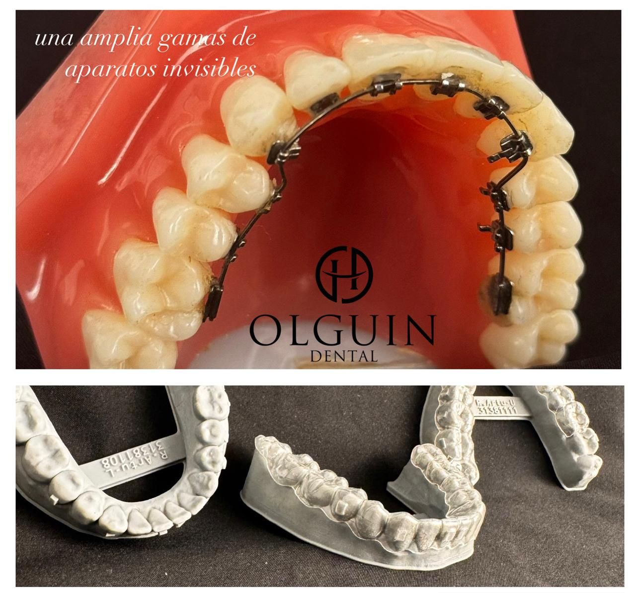 Luis Alberto Hernández Olguin-6