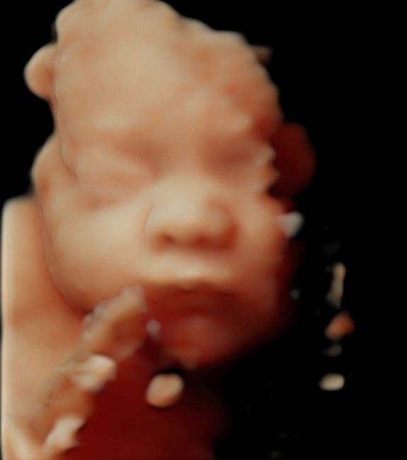 Griselda Reyes Torres-17