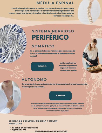 Marco Antonio Treviño Rivera-12