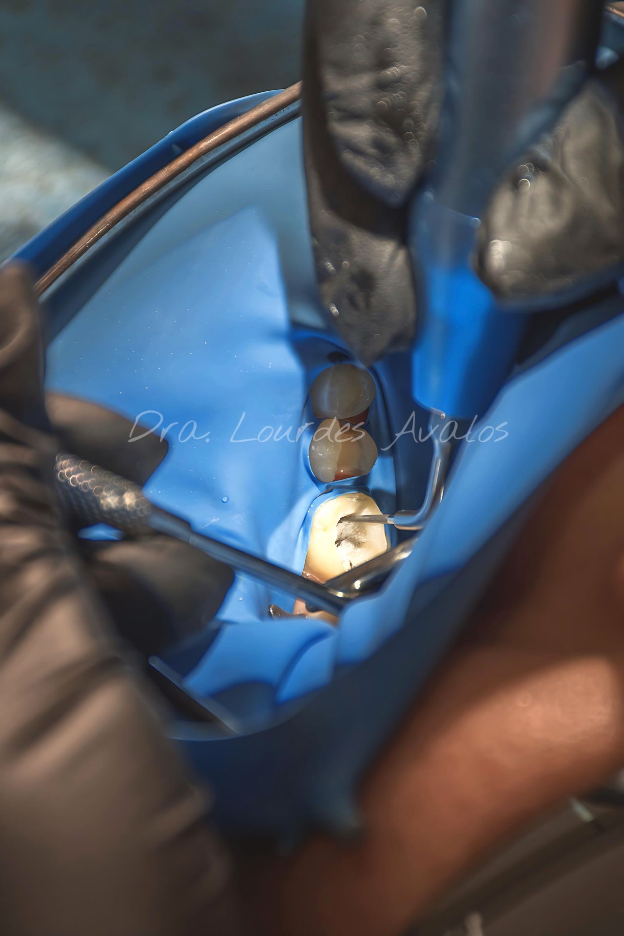 Lourdes Avalos Piña-5