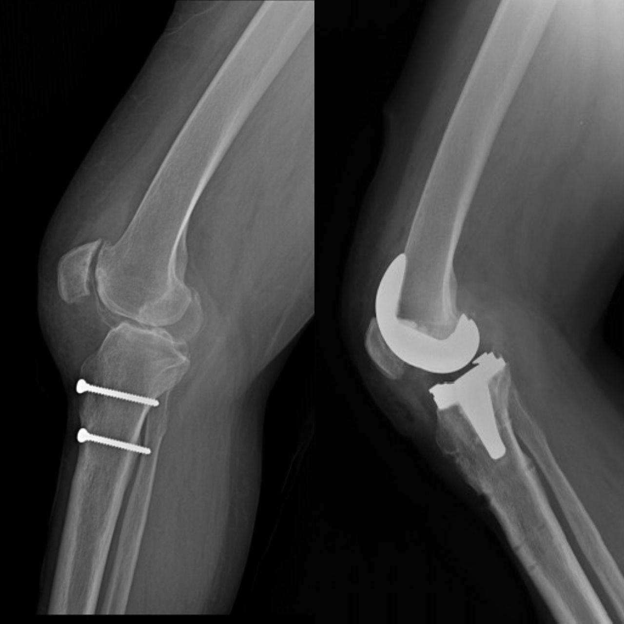 Alejandra Fuentes Martínez-19