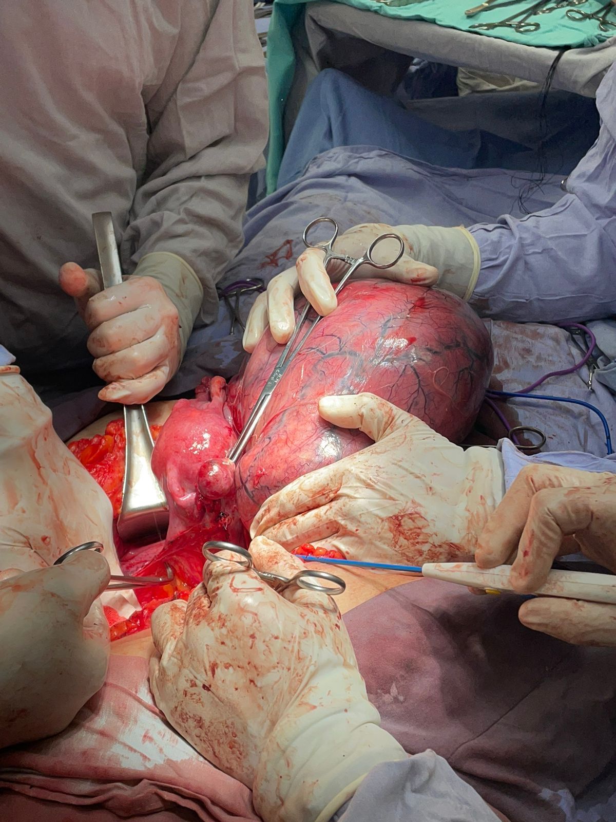 Ricardo Vázquez Díaz De León-4