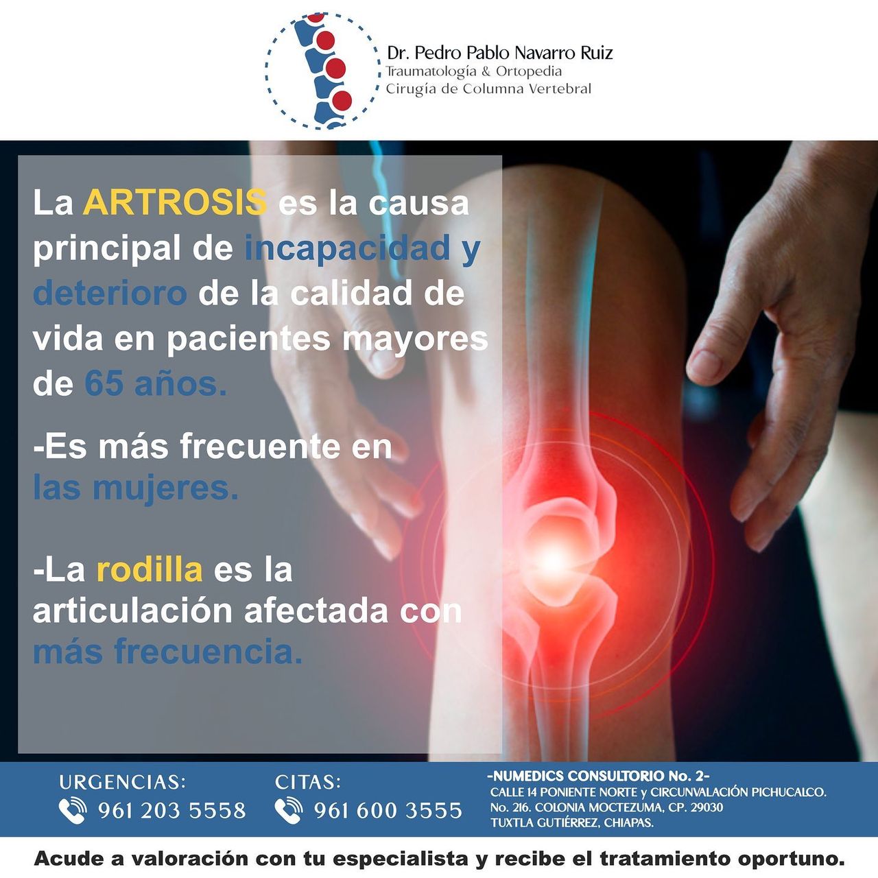 Pedro Pablo Navarro Ruiz-16