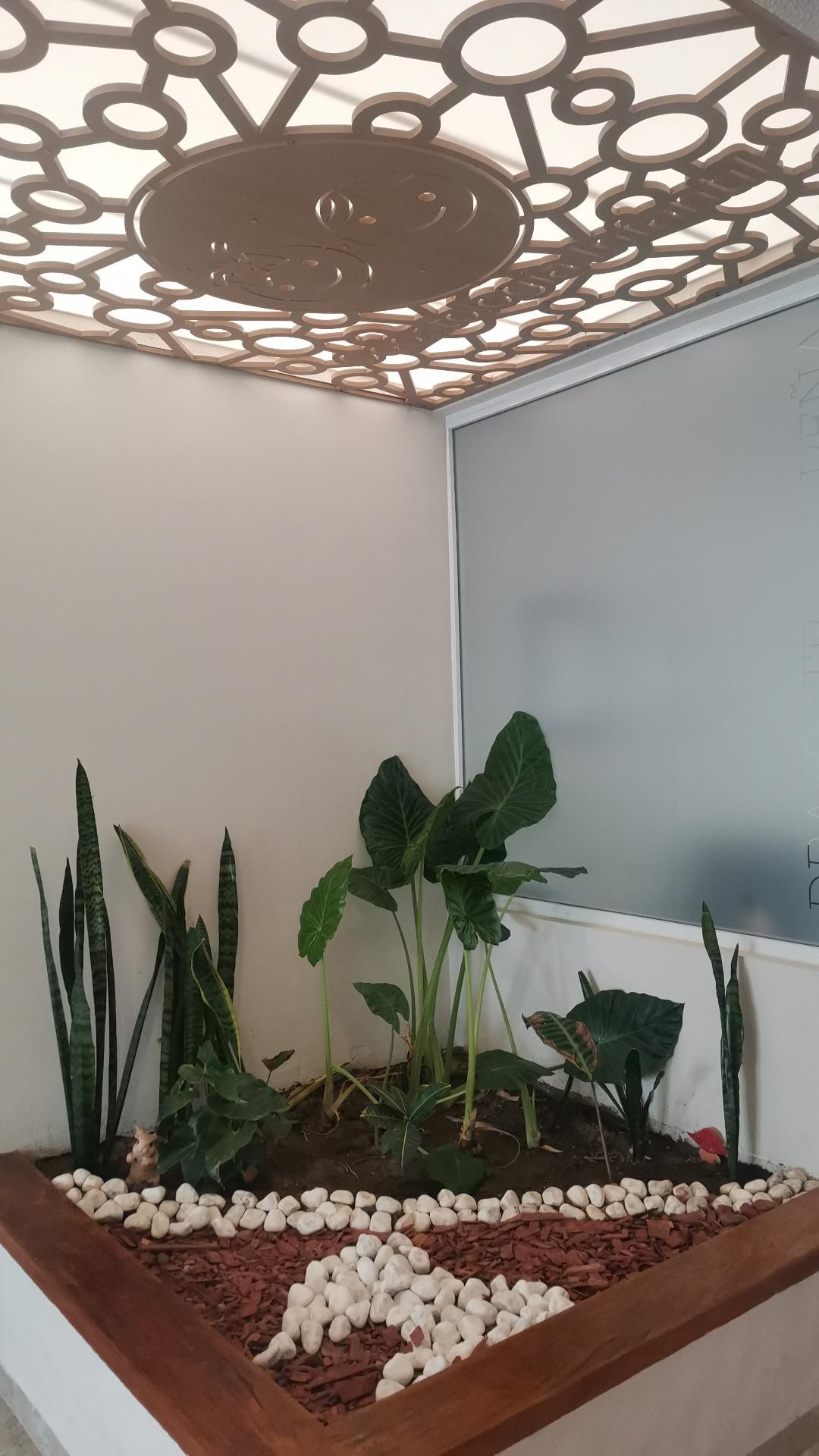 Claudia Patricia Peña Raigosa-1