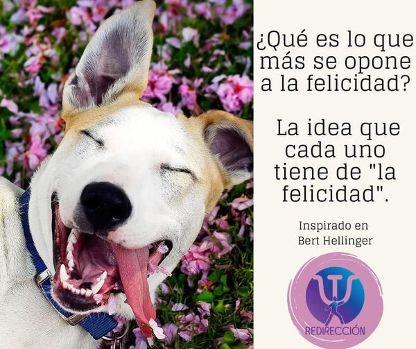 Laura K. Gonzalez-12