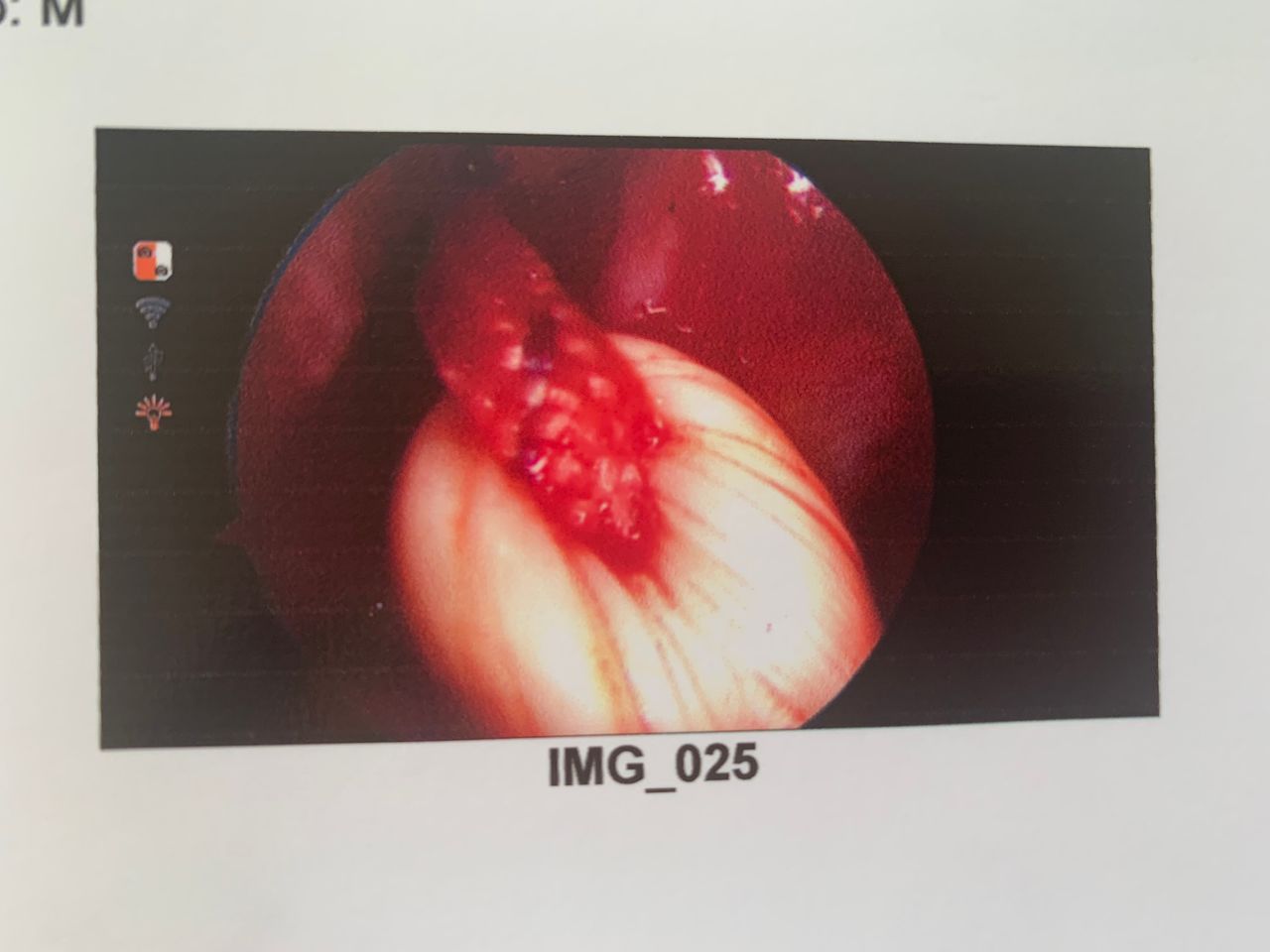 Monica Álvarez Cedeño-12