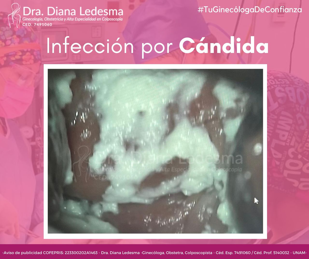 Diana Ledesma Estrada-18