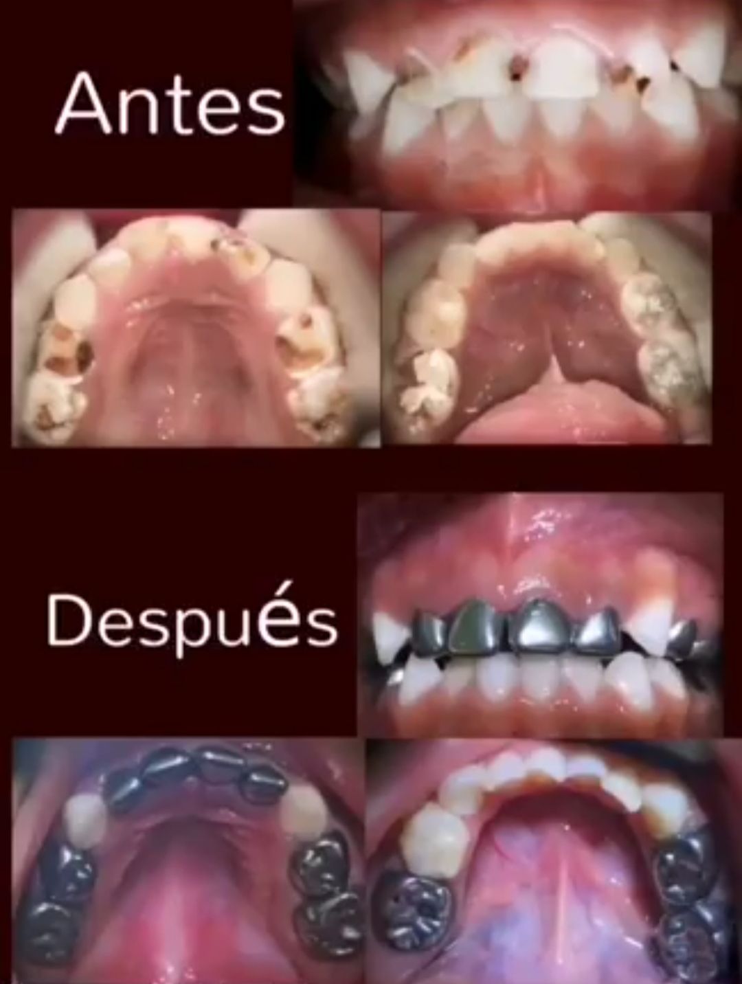 Margarita Estefania Parra Covarrubias-9