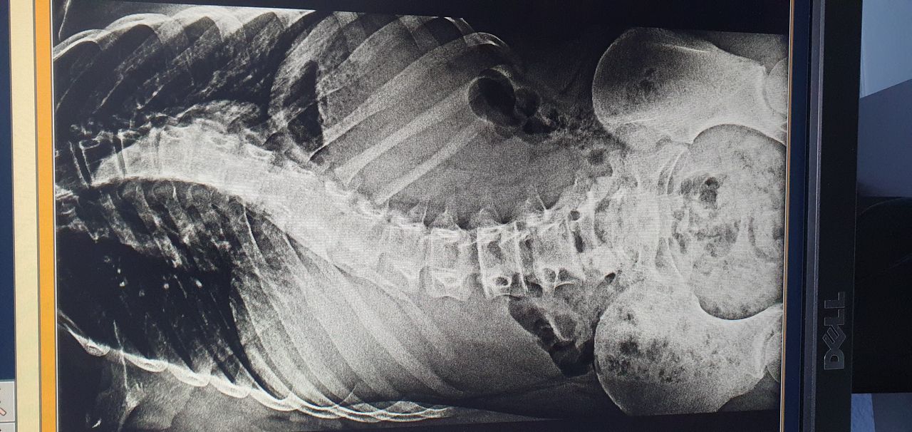 Carmen Yossaleth Briceño González-1