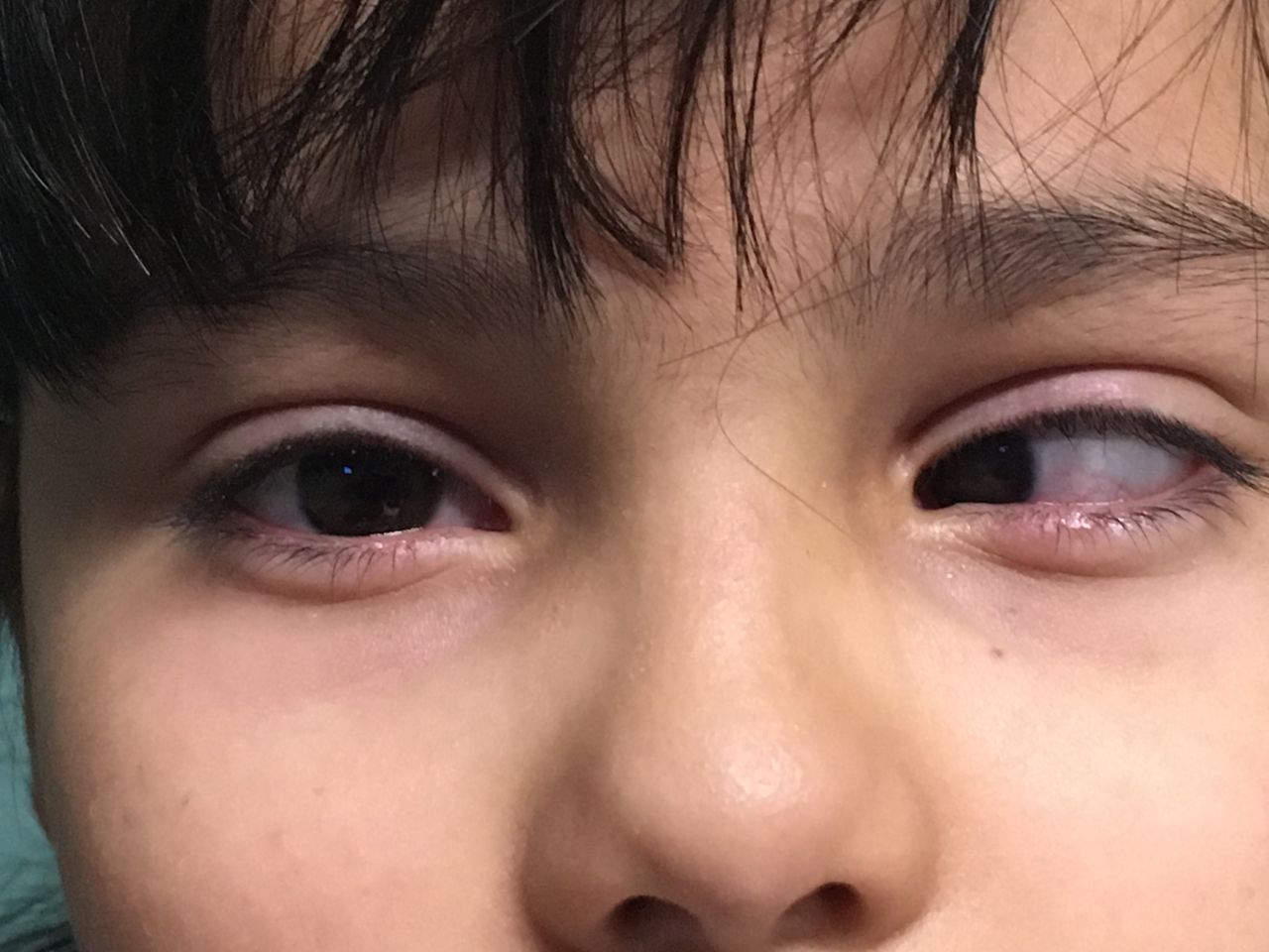 Rosa Elena De La Torre Castro-29