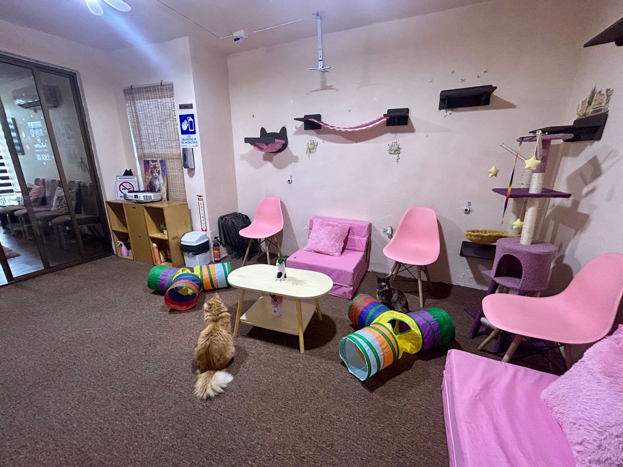 Jhoana Mendoza Larios-20