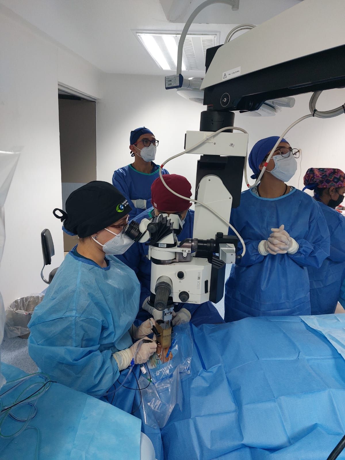 Jeniffer Trenado Luna-5