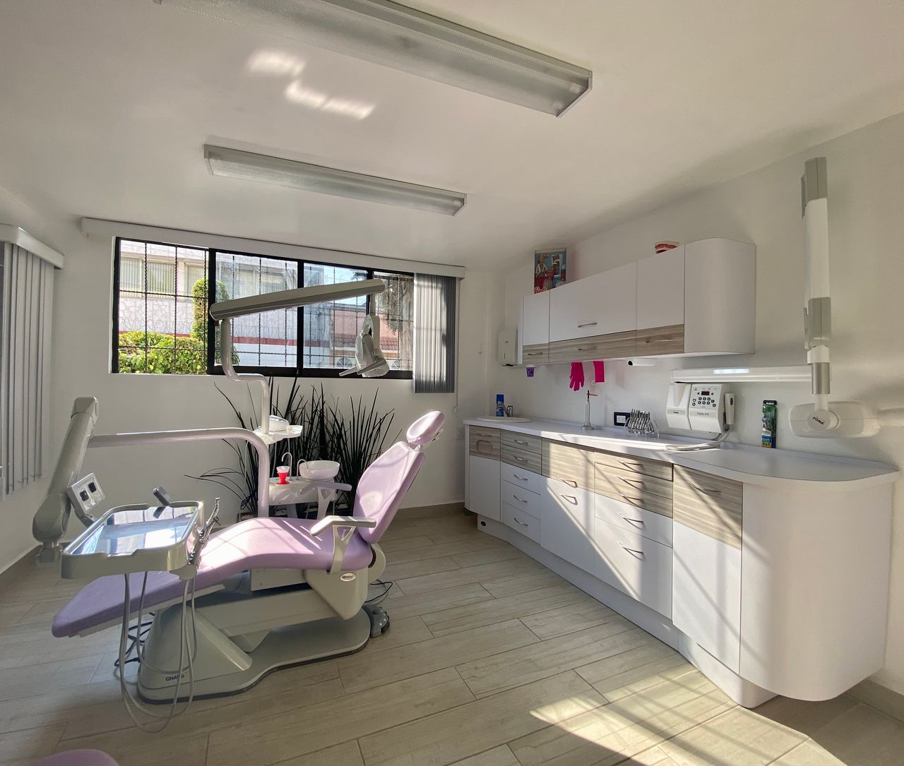 Rocío Gomez Castillo-2