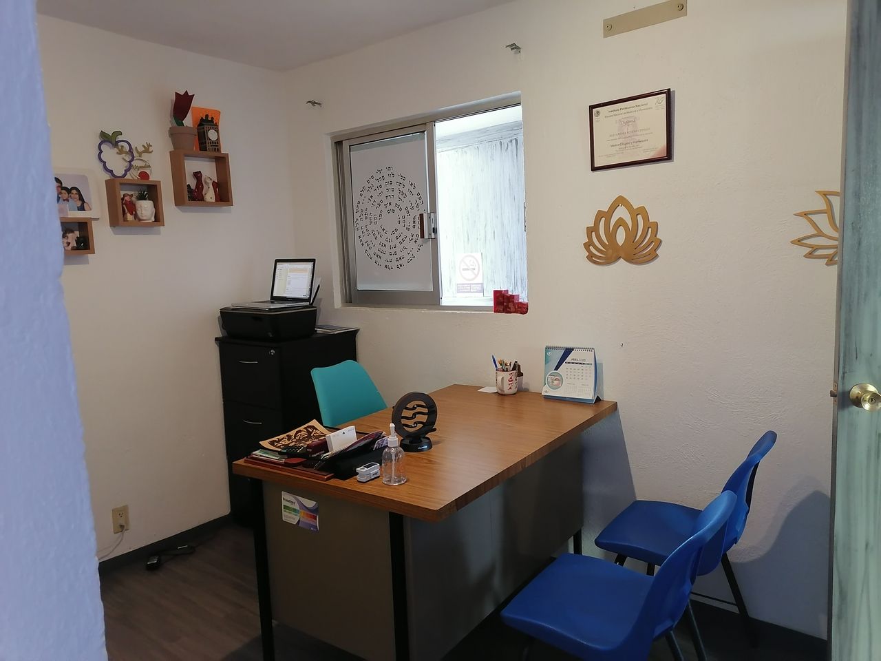 Alejandra Rivero Cedillo-0