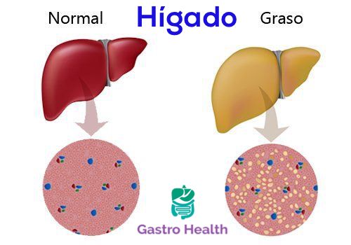 Fabiola Maely González Ortíz-4