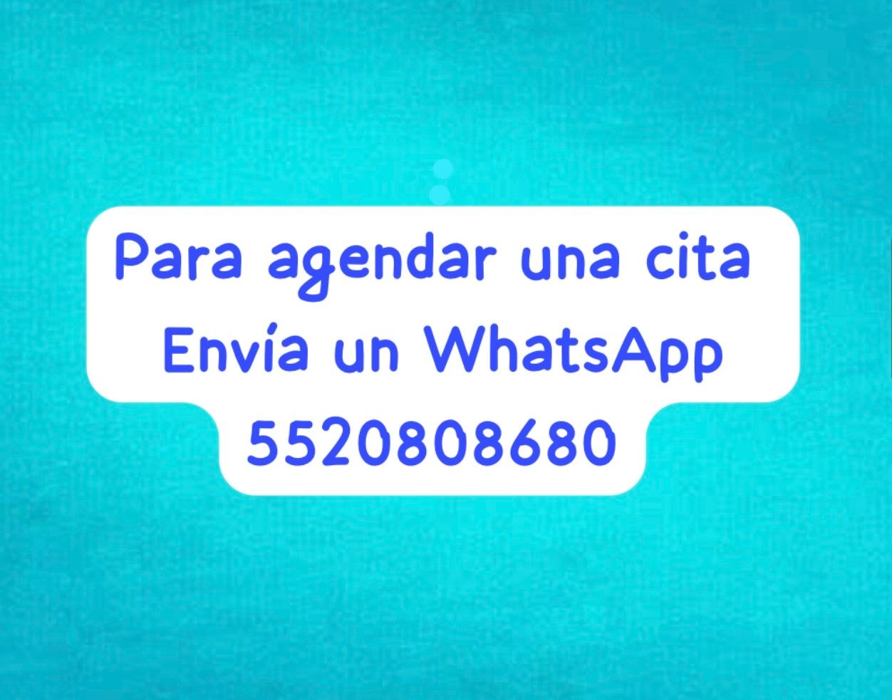 Alicia Mendez Barajas-2